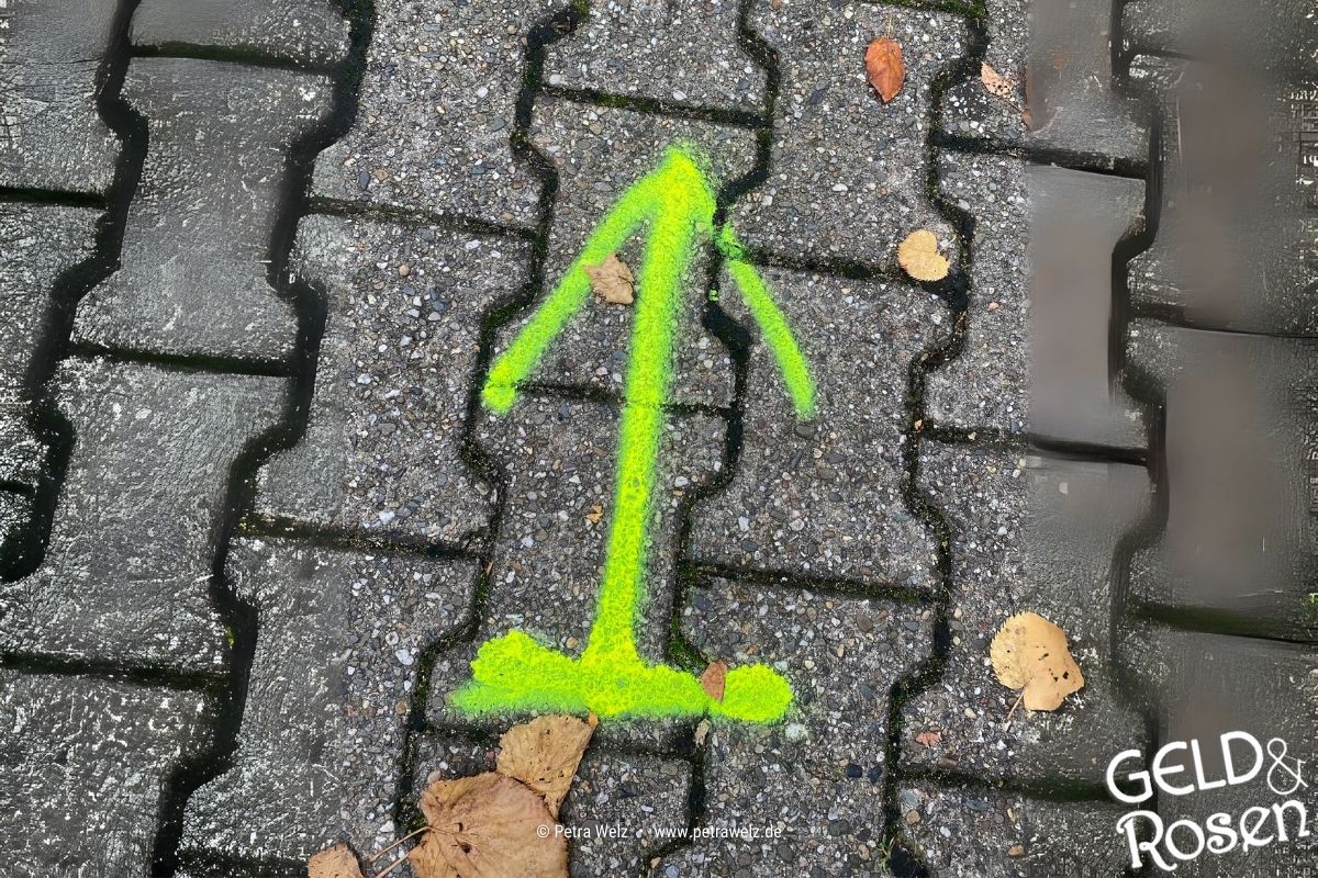 Das Bild zeigt einen neongelben Richtungspfeil geradeaus auf einem gepflasterten Fußweg als Bildmetapher Bildmetapher für eine Entscheidung zu treffen (Photocredit: Petra Welz, Geld & Rosen, Düsseldorf)