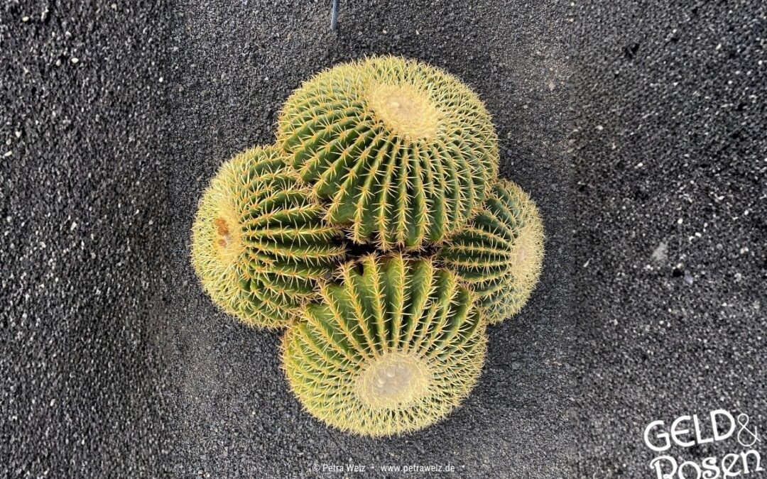 Kompromisse eingehen: Wie kompromissbereit bist Du | sind Sie?