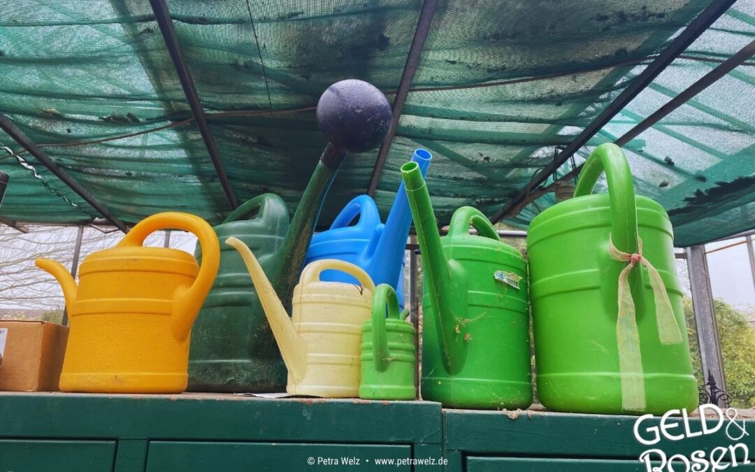 Ich traue mich … Trau’ Du Dich auch!